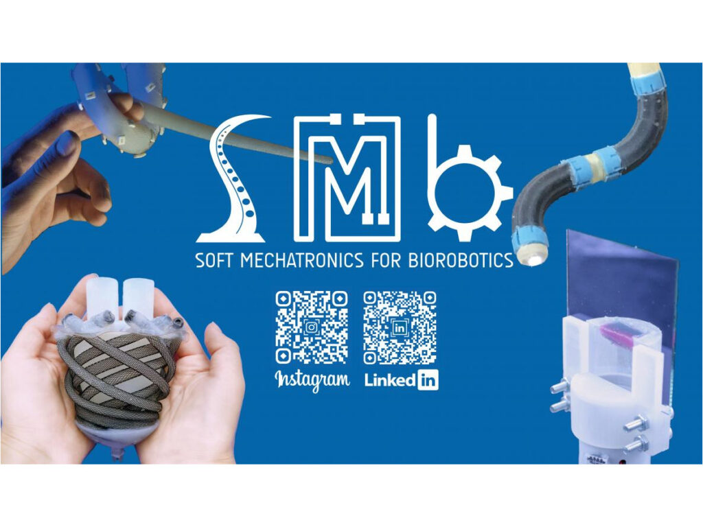 Soft Mechatronics for Biorobotics Lab